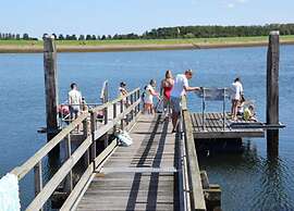 Nice Holiday Home Close to Nature Reserve