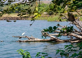 Gunjan Farms - Resort And Camping