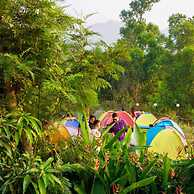 Gunjan Farms - Resort And Camping
