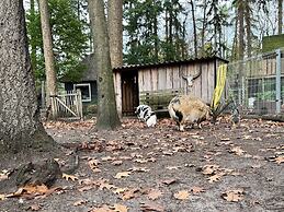 Cosy Holiday Home in a Wooded Area in Lochem
