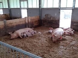 Farmhouse in De Heurne Near the Forest