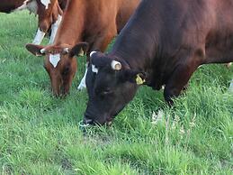 Farmhouse in De Heurne Near the Forest