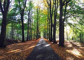 Chalet in the Woods With Pool