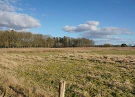 Chalet in the Woods With Pool