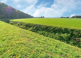 Chalet in the Woods With Pool