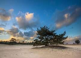 Chalet in the Woods With Pool