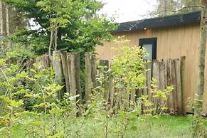 Pleasant Nature Lodge in Dalerveen