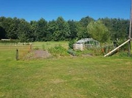 Detached Chalet in Friesland With Fenced Garden and Unobstructed View