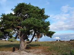 Holiday Home in Hattemerbroek With Smart TV