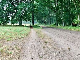 Charming Holiday Home in Wolin With Terrace