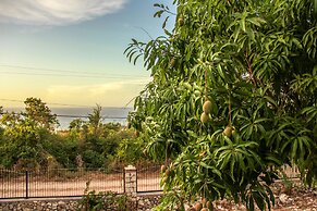 Sunshine Lodge- Your Home Away From Home