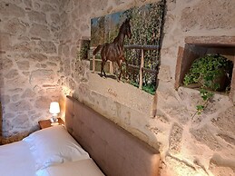 Family Farm Soc. Agricola - Agriturismo