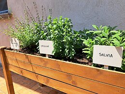 Family Farm Soc. Agricola - Agriturismo