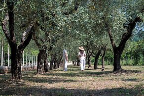 Family Farm Soc. Agricola - Agriturismo