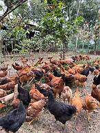 Kilyawan Farm Resort