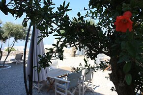 AENAON ESTATE 1896 by K&K