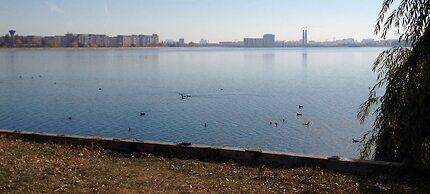 Unique Penthouse Lakeview W19