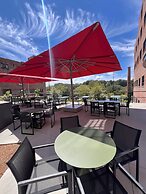 The Radical Asheville, Tapestry Collection by Hilton