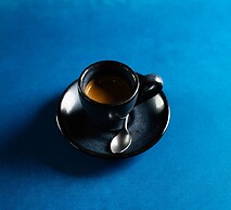 The Radical Asheville, Tapestry Collection by Hilton