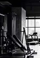 The Radical Asheville, Tapestry Collection by Hilton