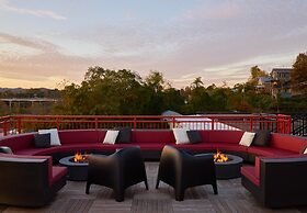 The Radical Asheville, Tapestry Collection by Hilton