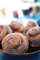 The Radical Asheville, Tapestry Collection by Hilton