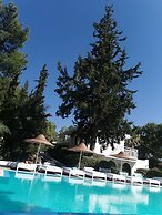 Trees boutique art hotel