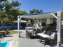 Trees boutique art hotel