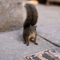 Pousada Vila Suíça