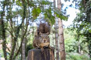 Pousada Vila Suíça