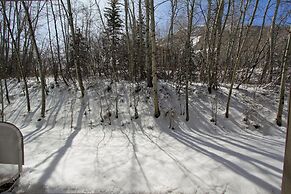 Snow Flower 134 2 Bedroom Condo by RedAwning