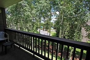 Snow Flower 116 2 Bedroom Condo by RedAwning