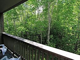 Snow Flower 145 2 Bedroom Condo by RedAwning