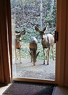 Snow Flower 135 2 Bedroom Condo by RedAwning