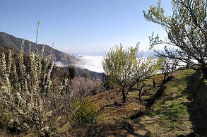 In Apple Estate Kanatal