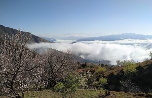 In Apple Estate Kanatal