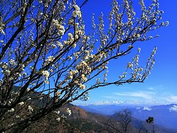In Apple Estate Kanatal