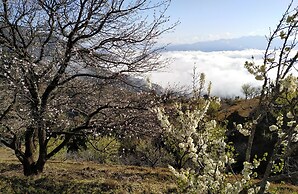 In Apple Estate Kanatal