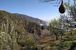 In Apple Estate Kanatal