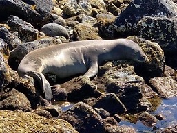 Kauai Villas At Poipu Kai E211 3 Bedroom Condo
