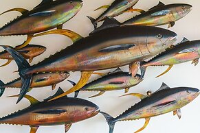 Big Island Kona Pacific E632 1 Bedroom Condo