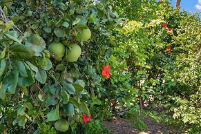 Big Island Awamoa Hale 3 Bedroom Home