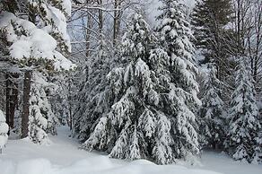 Sweet Life Brought to you by GetAway Vacations