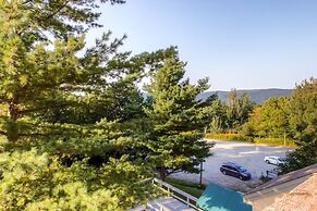 Mountain Green Condos at Killington by RedAwning