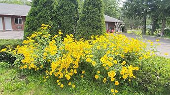 Hudson Valley 9w Motel