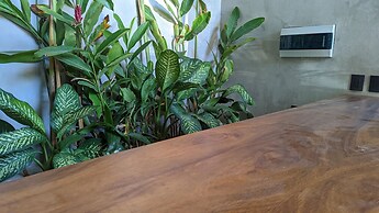 Jungle Loft in Aldea Zama l Pool l Grill