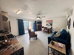 Meson del Capitan Apartments