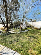 The Wild Khao Yai - Glamping