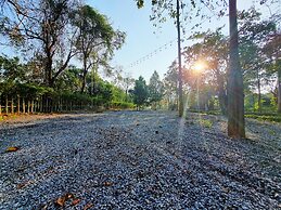 The Wild Khao Yai - Glamping