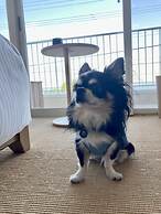 KAMOME SLOW HOTEL THE COMPACT